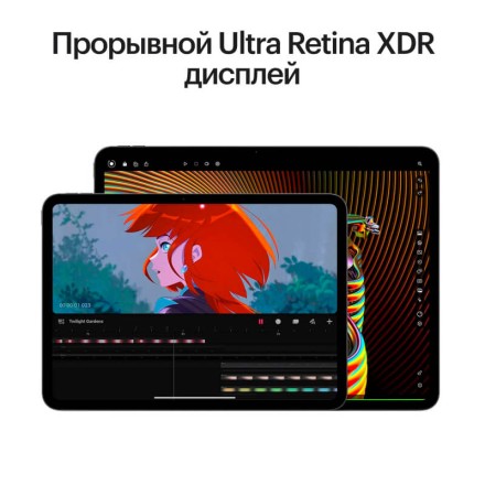 Планшет Apple iPad Pro 11" 2Tb (2024) Wi-Fi + Cellular нанотекстурное стекло серебристый
