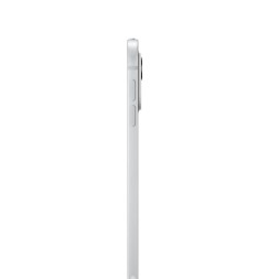 Apple iPad Pro 11" 1Tb (2024) Wi-Fi + Cellular серебристый