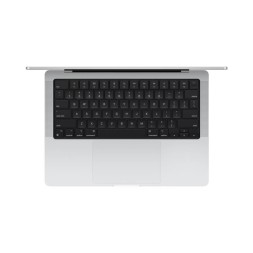 Apple MacBook Pro 14" M4 Max 16c CPU, 40c GPU, 64/2TB серебристый (2024)