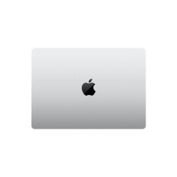 Apple MacBook Pro 14" M4 Max 16c CPU, 40c GPU, 128/1TB серебристый (2024)